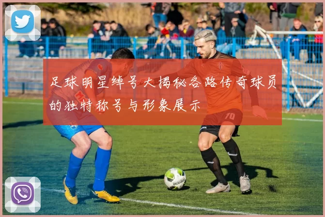 足球明星绰号大揭秘各路传奇球员的独特称号与形象展示