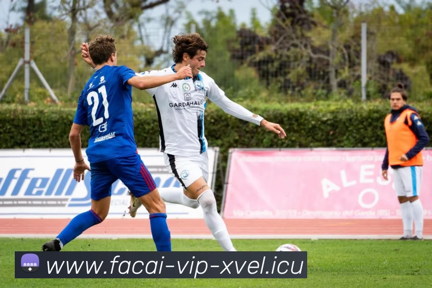 App Interface Preview